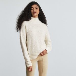 Everlane Alpaca Pom Pom Turtleneck Sweater in Snow (White)